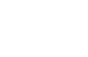 The Media Ant